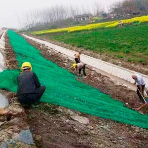 三維植被網護坡施工現場